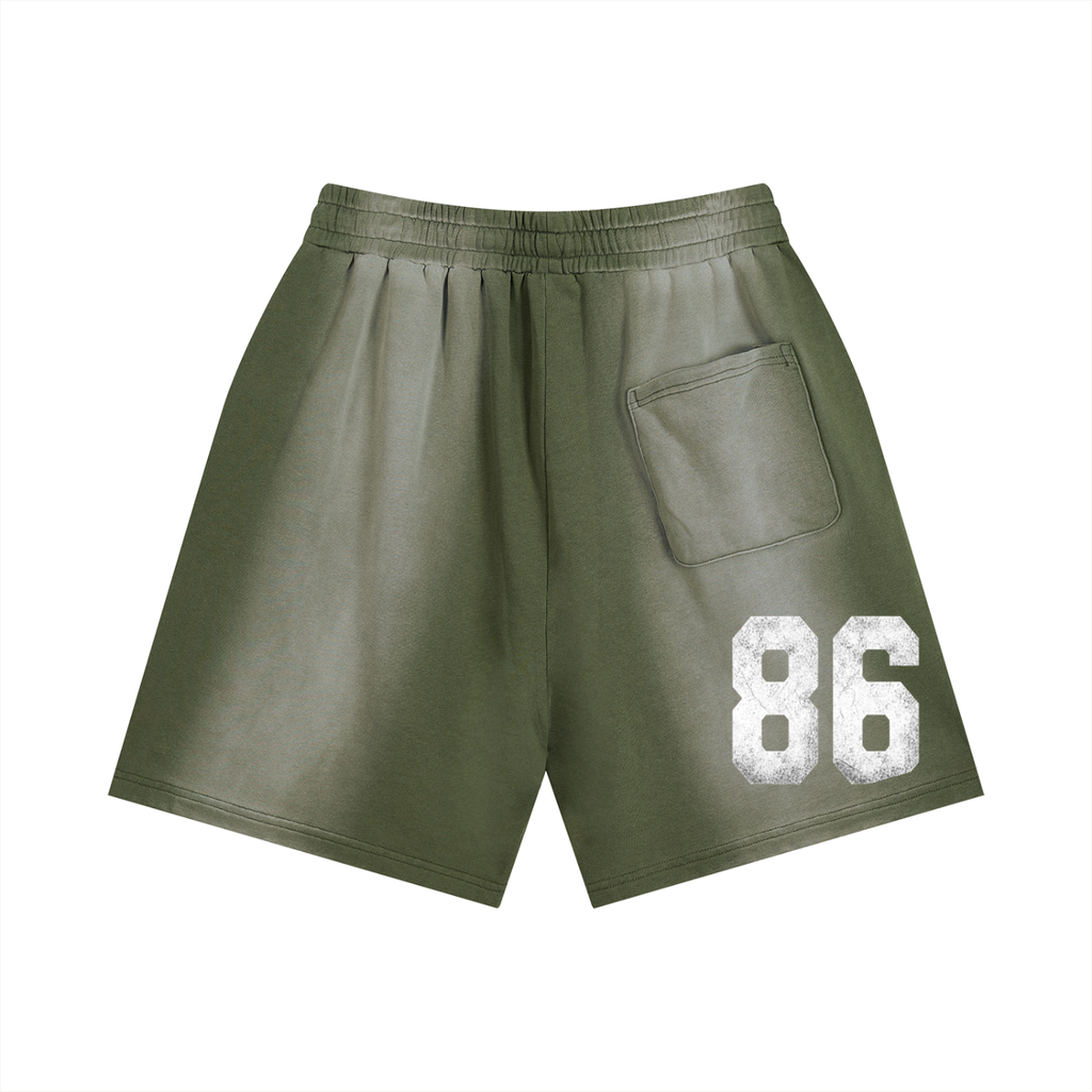Sun Fade Distressed Shorts